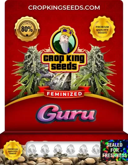 guru-feminized-image