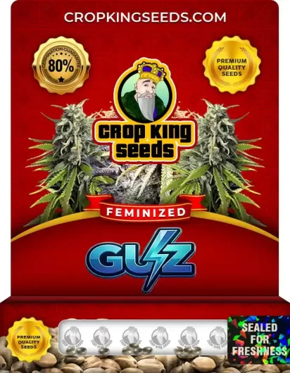 guz-image