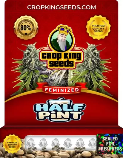 half-pint-image