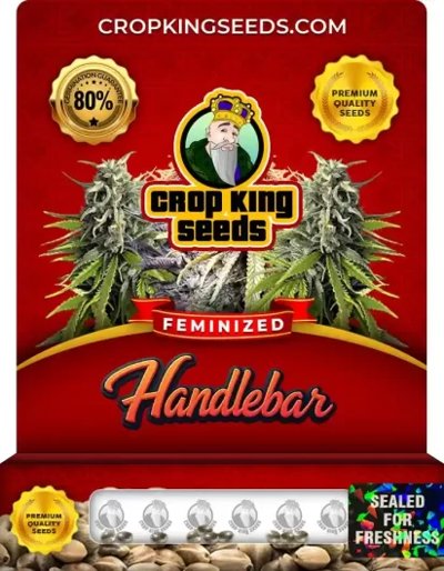 Handlebar