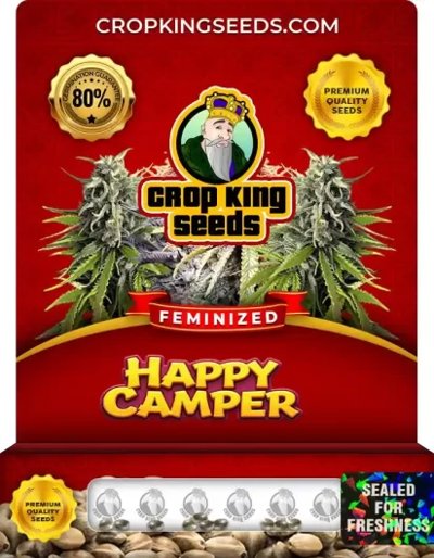 Happy Camper