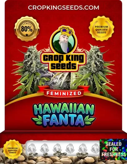 hawaiian-fanta-image