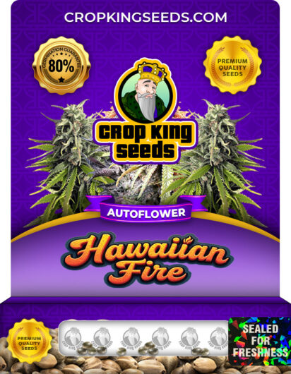 hawaiian-fire-autoflower-image