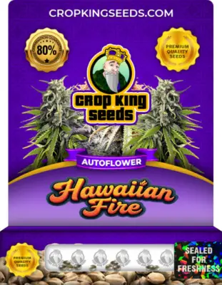 Hawaiian Fire Autoflower