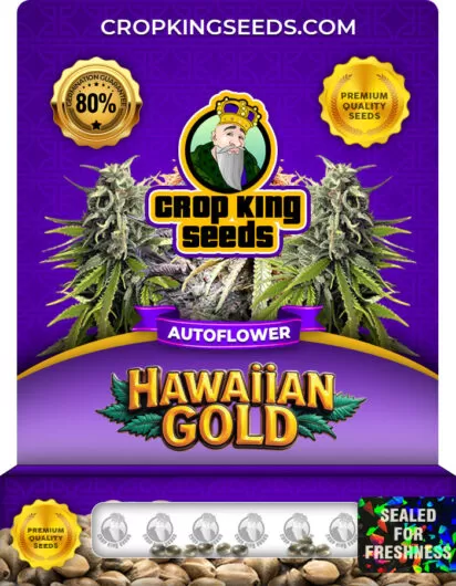 hawaiian-gold-autoflower-image