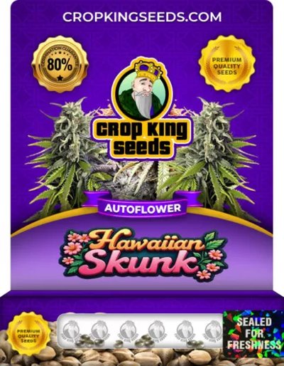 Hawaiian Skunk Autoflower