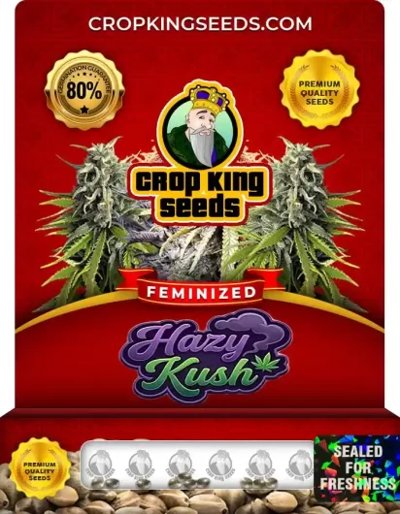 Hazy Kush