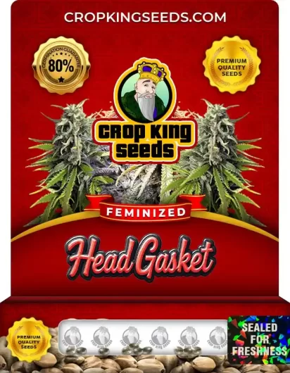 head-gasket-image