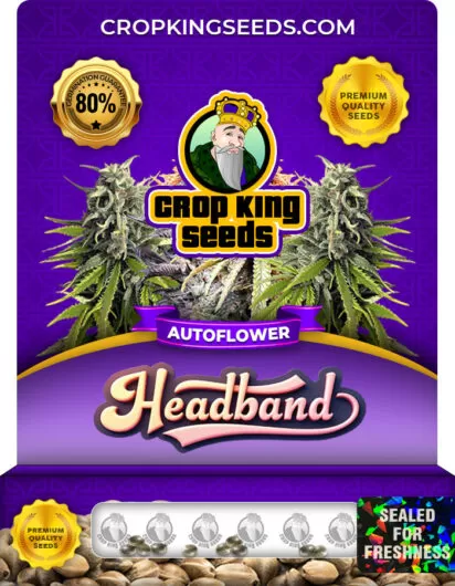 headband-autoflower-image