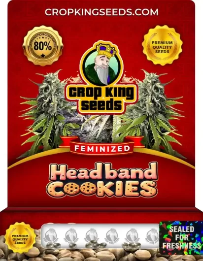 headband-cookies-image