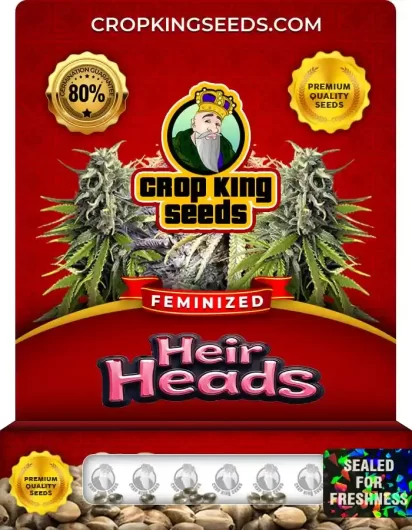 heir-heads-image