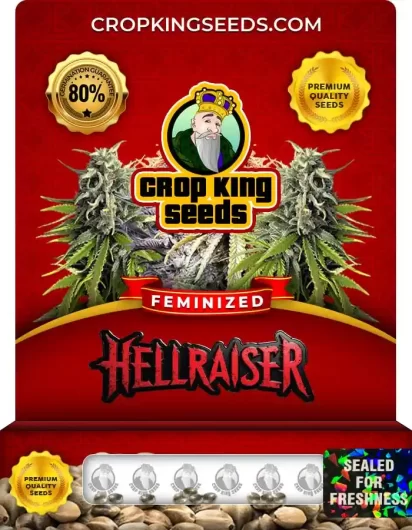 hellraiser-image