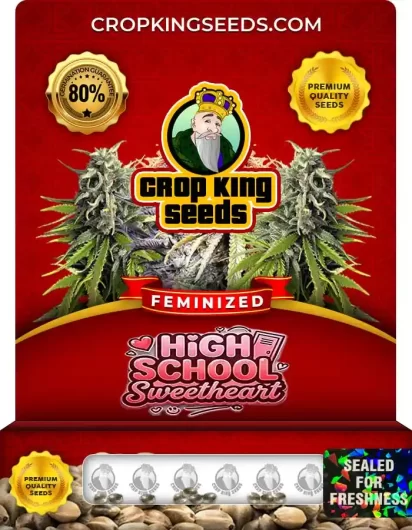 high-school-sweetheart-image
