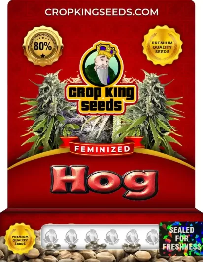 hog-image