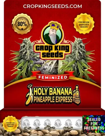 holy-banana-pineapple-express-image