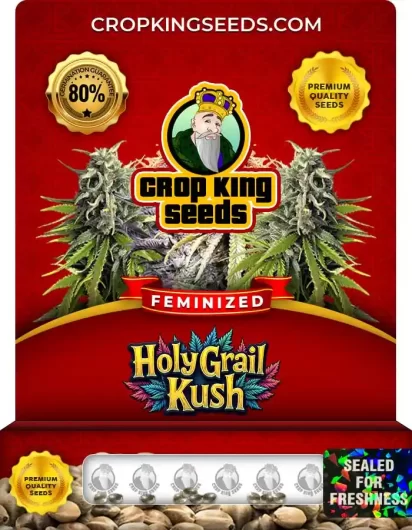 holy-grail-kush-image