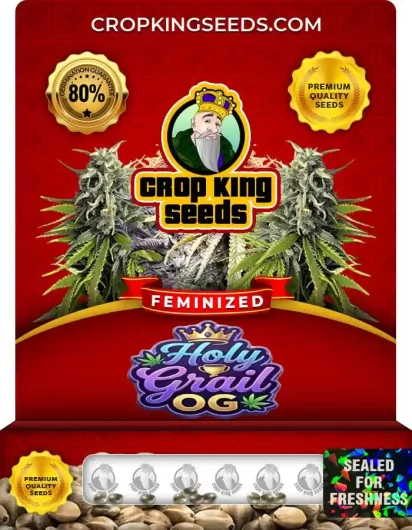 holy-grail-og-image