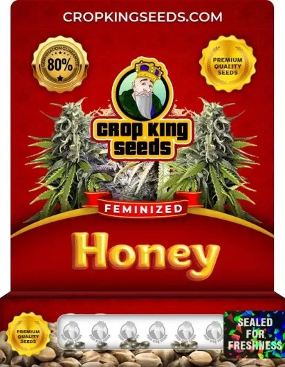 honey-image