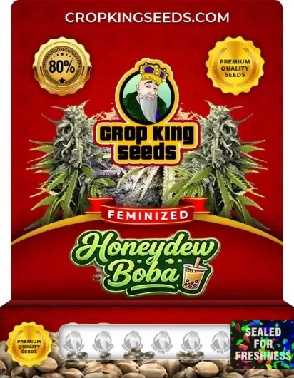 honeydew-boba-image