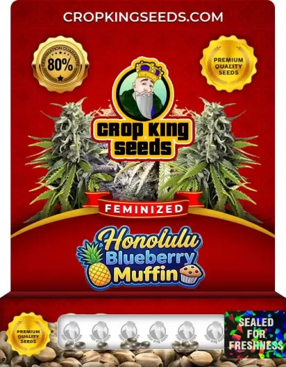 honolulu-blueberry-muffin-image