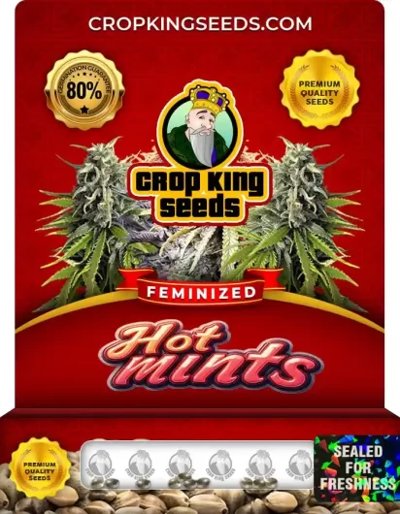Hot Mints