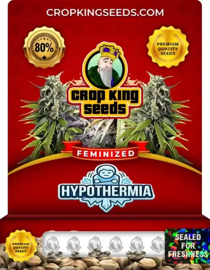 hypothermia-image