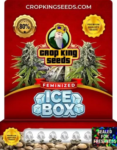 Ice Box