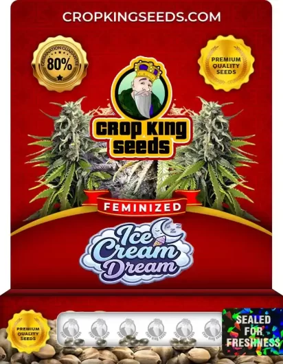 ice-cream-dream-image