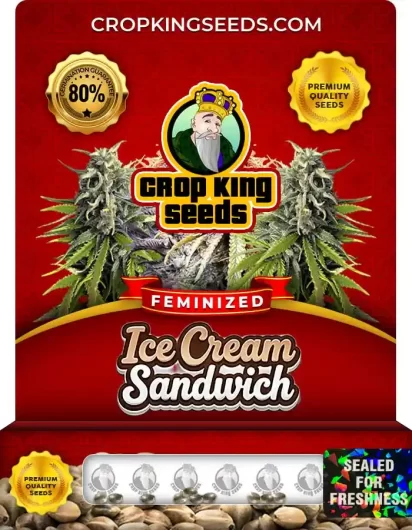 ice-cream-sandwich-image