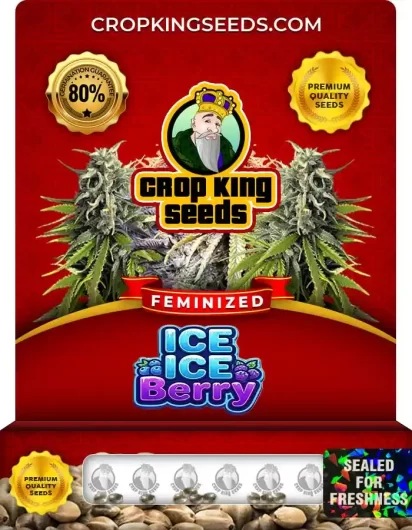 ice-ice-berry-image