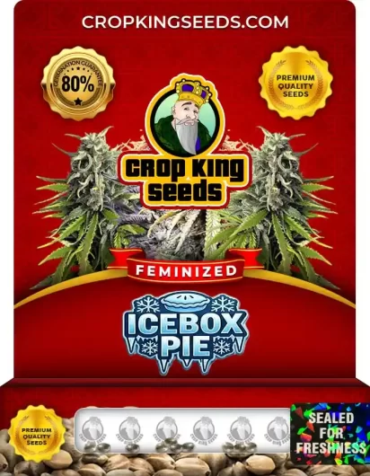 icebox-pie-image
