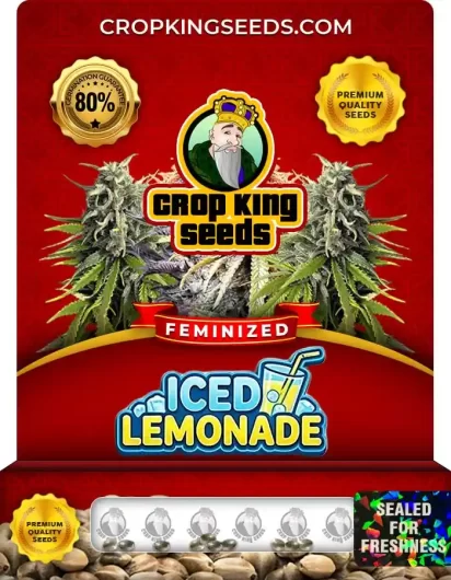 iced-lemonade-image