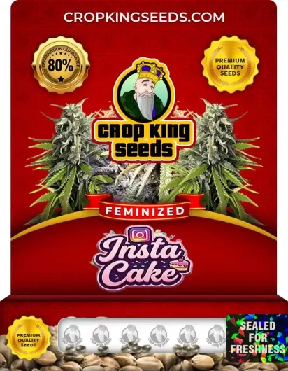 insta-cake-image