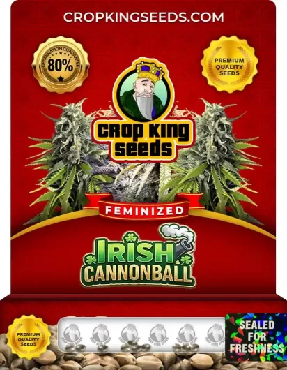 irish-cannonball-image