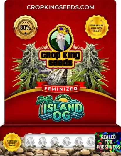 island-og-image