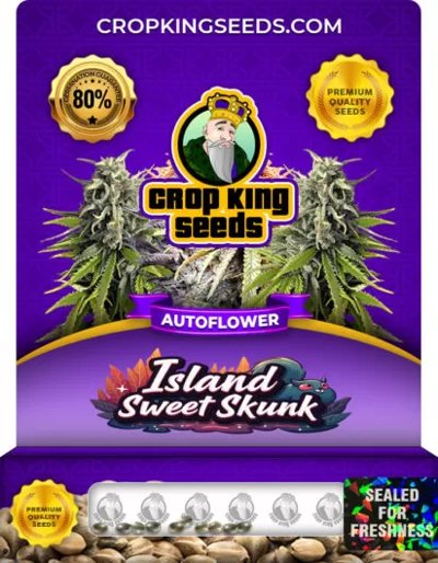 Island Sweet Skunk Autoflower