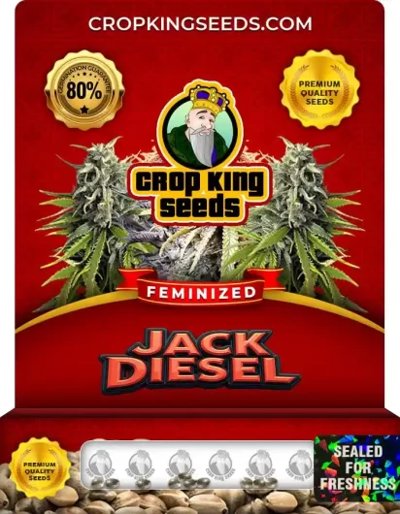 Jack Diesel