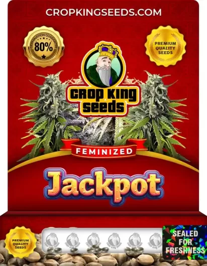 jackpot-image