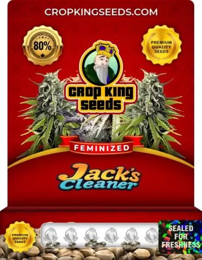 Jacks Cleaner