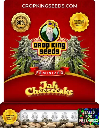 jah-cheesecake-image