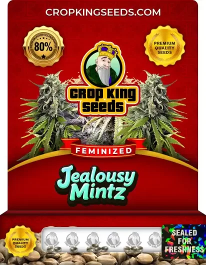 jealousy-mintz-image