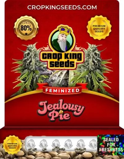Jealousy Pie Feminized