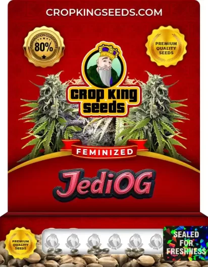 jedi-og-image
