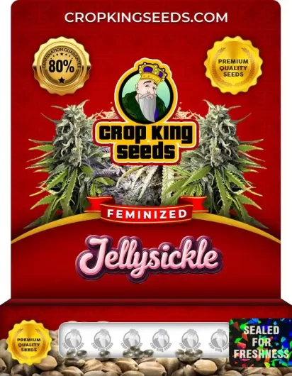 jellysickle-image