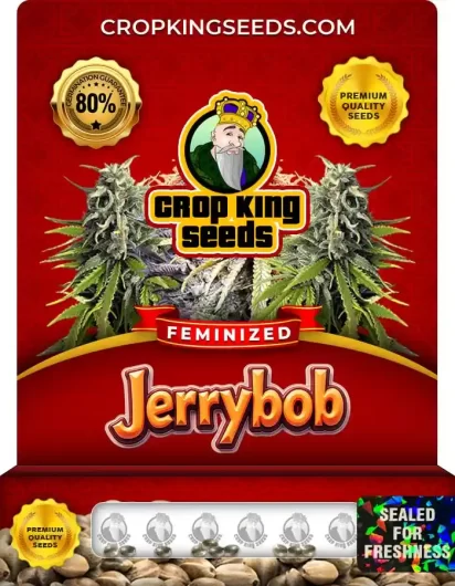 jerrybob-image