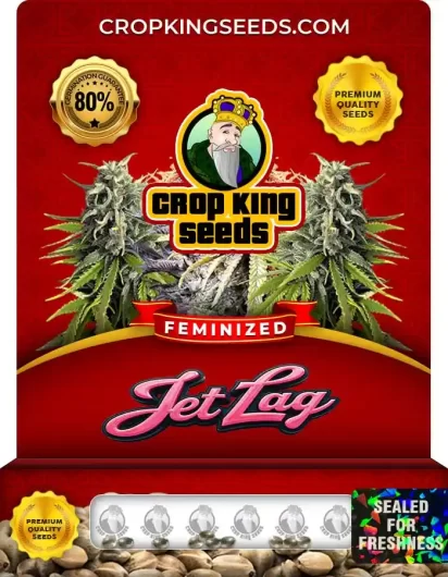 jet-lag-image