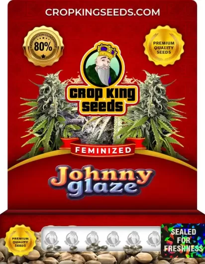 johnny-glazed-image