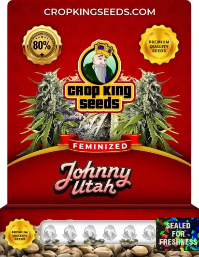 johnny-utah-image
