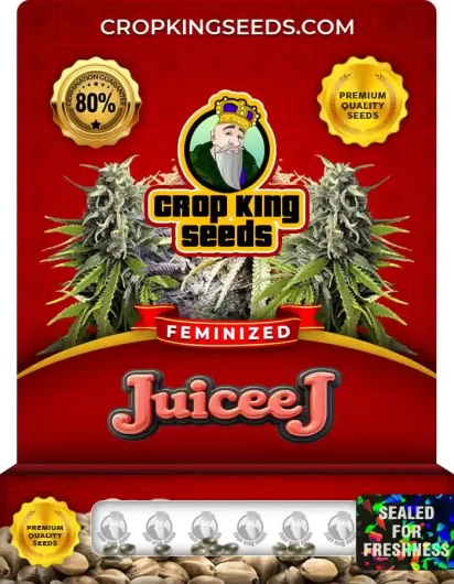 juicee-j-image