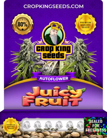 juicy-fruit-autoflower-image